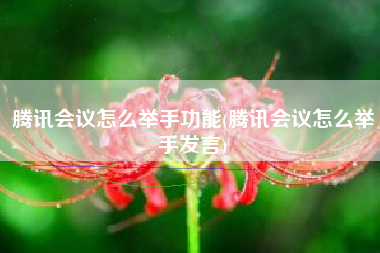 腾讯会议怎么举手功能(腾讯会议怎么举手发言)