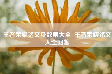 王者荣耀铭文及效果大全_王者荣耀铭文大全图鉴