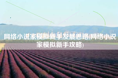 网络小说家模拟新手发展思路(网络小说家模拟新手攻略)