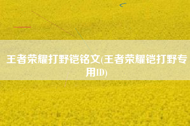 王者荣耀打野铠铭文(王者荣耀铠打野专用ID)