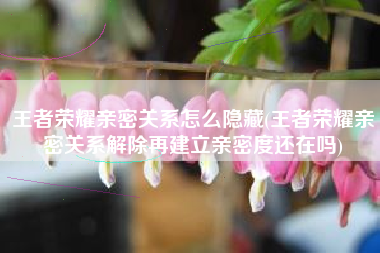 王者荣耀亲密关系怎么隐藏(王者荣耀亲密关系解除再建立亲密度还在吗)