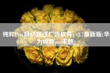 纯粹Pro(自动跳过广告软件) v2.7最新版(华为纯粹pro主题)