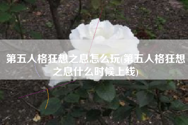 第五人格狂想之息怎么玩(第五人格狂想之息什么时候上线)