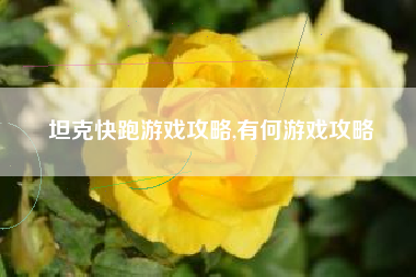 坦克快跑游戏攻略,有何游戏攻略
