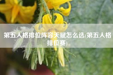 第五人格排位阵容天赋怎么选(第五人格排位赛)