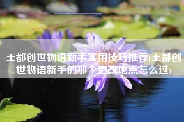 王都创世物语新手实用技巧推荐(王都创世物语新手的那个更改地点怎么过)