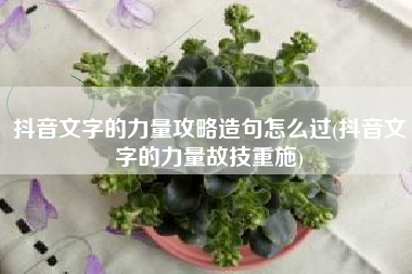 抖音文字的力量攻略造句怎么过(抖音文字的力量故技重施)