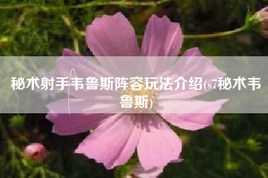 秘术射手韦鲁斯阵容玩法介绍(s7秘术韦鲁斯)