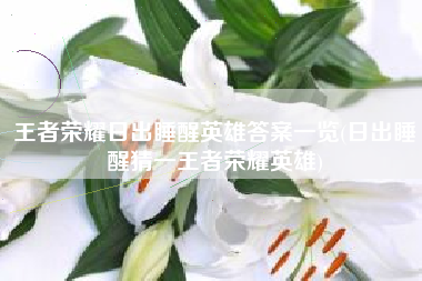 王者荣耀日出睡醒英雄答案一览(日出睡醒猜一王者荣耀英雄)