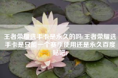 王者荣耀选手卡是永久的吗(王者荣耀选手卡是只能一个赛季使用还是永久百度贴吧)