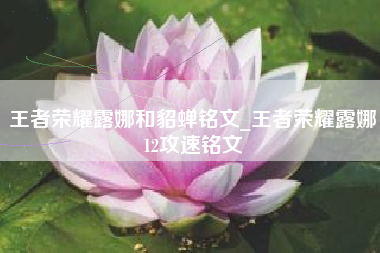 王者荣耀露娜和貂蝉铭文_王者荣耀露娜12攻速铭文