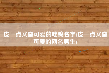 皮一点又蛮可爱的吃鸡名字(皮一点又蛮可爱的网名男生)