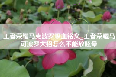 王者荣耀马克波罗吸血铭文_王者荣耀马可波罗大招怎么不能放眩晕