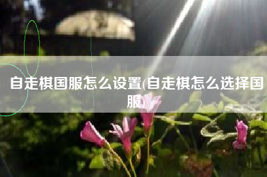 自走棋国服怎么设置(自走棋怎么选择国服)