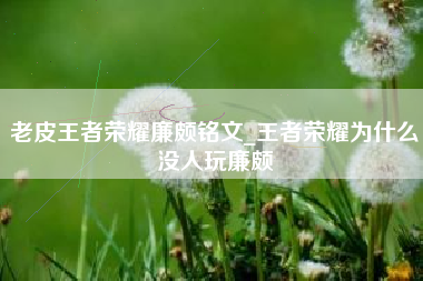 老皮王者荣耀廉颇铭文_王者荣耀为什么没人玩廉颇