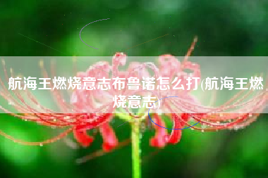 航海王燃烧意志布鲁诺怎么打(航海王燃烧意志)