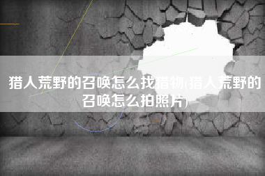 猎人荒野的召唤怎么找猎物(猎人荒野的召唤怎么拍照片)