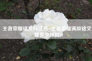 王者荣耀铭文标注名_王者荣耀满级铭文要多少碎片