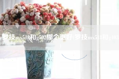 罗技mx518和g502哪个更好(罗技mx518和g403)