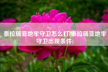 泰拉瑞亚地牢守卫怎么打(泰拉瑞亚地牢守卫出现条件)