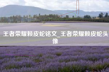 王者荣耀赖皮蛇铭文_王者荣耀赖皮蛇头像
