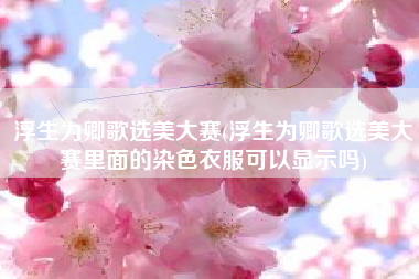 浮生为卿歌选美大赛(浮生为卿歌选美大赛里面的染色衣服可以显示吗)