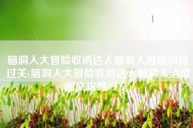 脑洞人大冒险收纳达人脑洞人酒馆如何过关(脑洞人大冒险收纳达人脑洞人酒馆图文攻略一览)