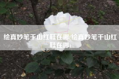 绘真妙笔千山红鞋在哪(绘真妙笔千山红鞋在哪)