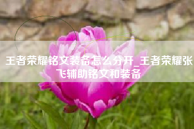 王者荣耀铭文装备怎么分开_王者荣耀张飞辅助铭文和装备