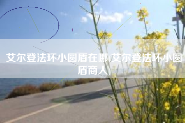 艾尔登法环小圆盾在哪(艾尔登法环小圆盾商人)