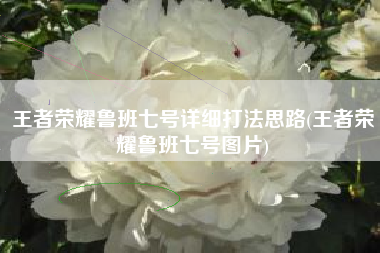王者荣耀鲁班七号详细打法思路(王者荣耀鲁班七号图片)