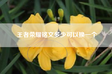 王者荣耀铭文多少可以换一个