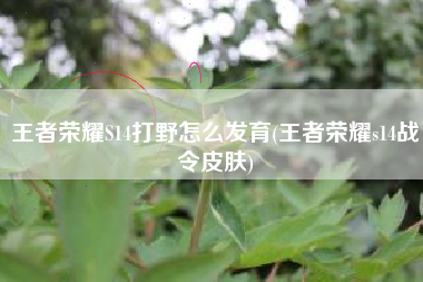 王者荣耀S14打野怎么发育(王者荣耀s14战令皮肤)