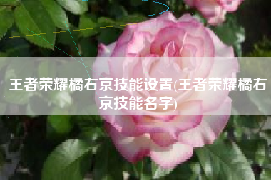 王者荣耀橘右京技能设置(王者荣耀橘右京技能名字)