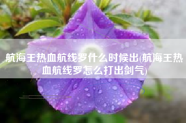 航海王热血航线罗什么时候出(航海王热血航线罗怎么打出剑气)
