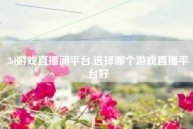 3d游戏直播间平台,选择哪个游戏直播平台好