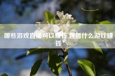 哪些游戏直播可以赚钱,直播什么游戏赚钱