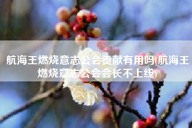 航海王燃烧意志公会贡献有用吗(航海王燃烧意志公会会长不上线)