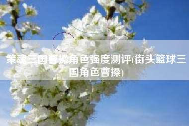 策魂三国曹操角色强度测评(街头篮球三国角色曹操)
