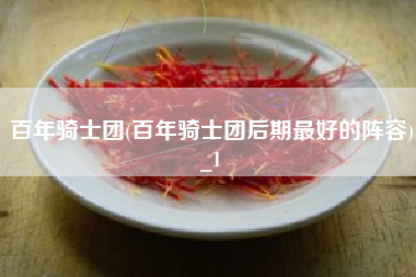 百年骑士团(百年骑士团后期最好的阵容)_1