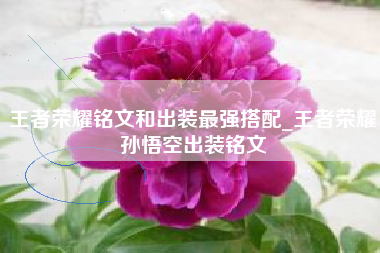 王者荣耀铭文和出装最强搭配_王者荣耀孙悟空出装铭文