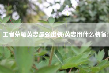 王者荣耀黄忠最强出装(黄忠用什么装备)