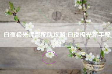 白夜极光妮娜配队攻略(白夜极光新手配队)