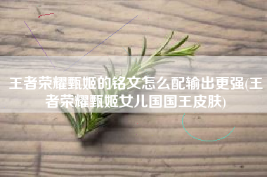 王者荣耀甄姬的铭文怎么配输出更强(王者荣耀甄姬女儿国国王皮肤)