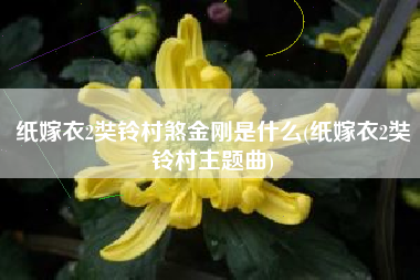 纸嫁衣2奘铃村煞金刚是什么(纸嫁衣2奘铃村主题曲)