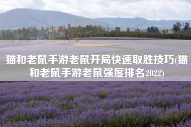 猫和老鼠手游老鼠开局快速取胜技巧(猫和老鼠手游老鼠强度排名2022)