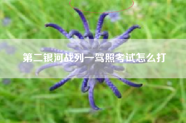 第二银河战列一驾照考试怎么打