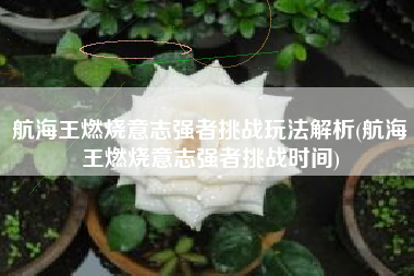 航海王燃烧意志强者挑战玩法解析(航海王燃烧意志强者挑战时间)