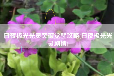 白夜极光光灵突破觉醒攻略(白夜极光光灵剧情)