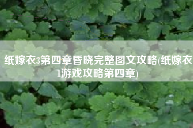 纸嫁衣3第四章昏晓完整图文攻略(纸嫁衣1游戏攻略第四章)